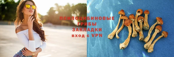 мяу мяу мука Инта