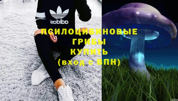 крисы Алексеевка