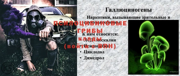 тгк Алексин