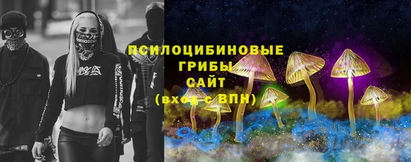 ешки Алзамай